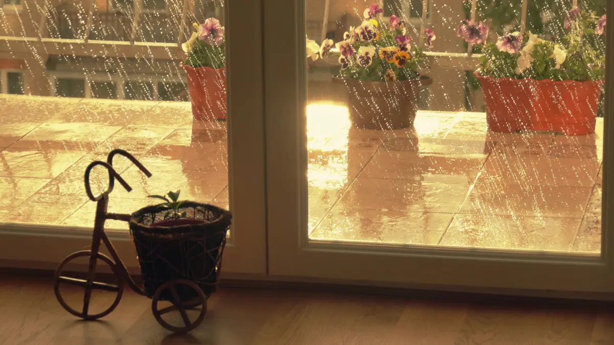 Gouttes de pluie sur des fenêtres