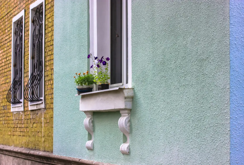 Fleurs sur le rebord d'une fenêtre