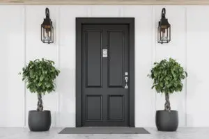 Porte d'entrée noire